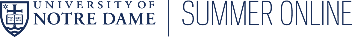 Summer Online Logo